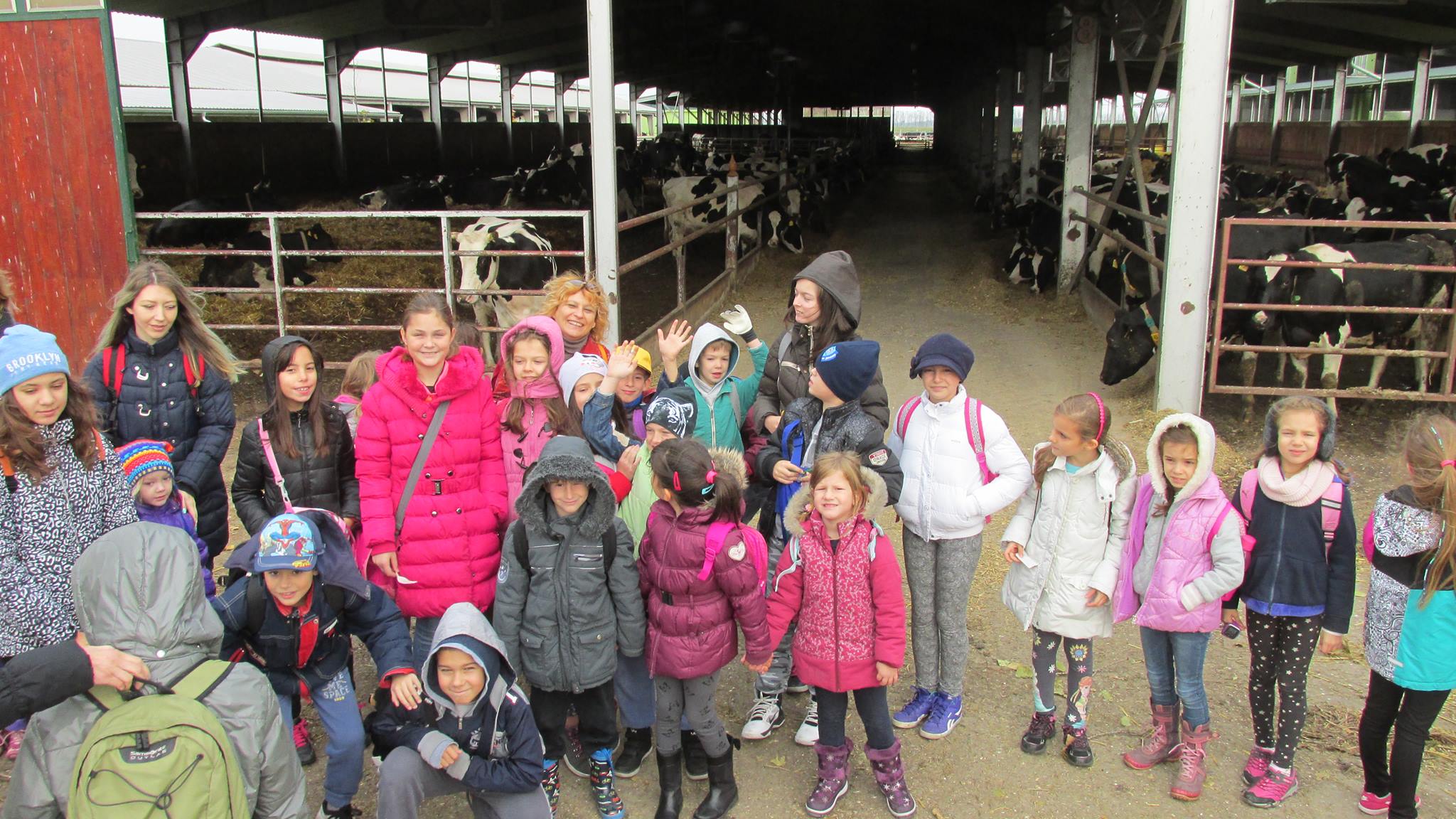 Deca su mogla da vide kako danas funkcioniše jedna savremena farma krava