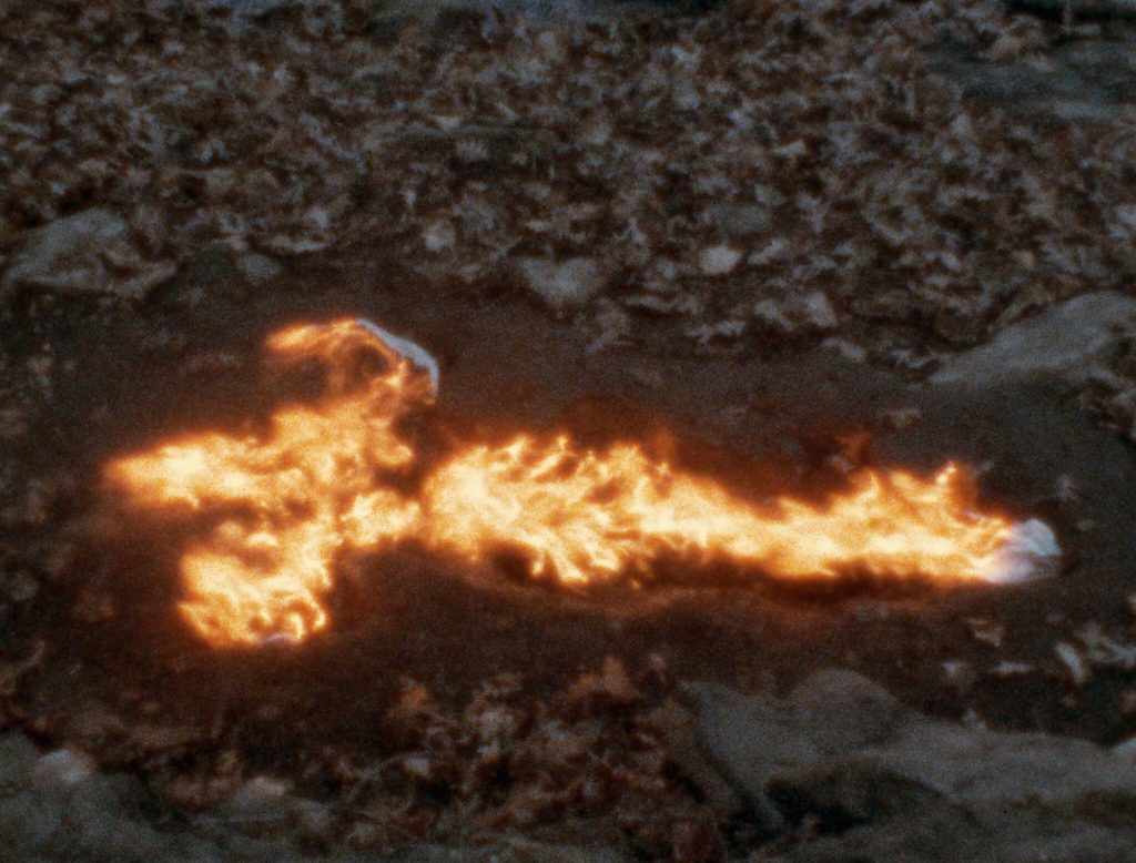 Ana Mendieta 2025 izloćba. Link: https://whitney.org/exhibitions/what-it-becomes/art?section=8