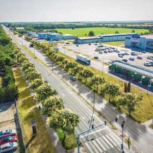 Šumski zaštitni pojasevi predstavljaju dobro rešenje za povećanje ukupne pošumljenosti Vojvodine.
