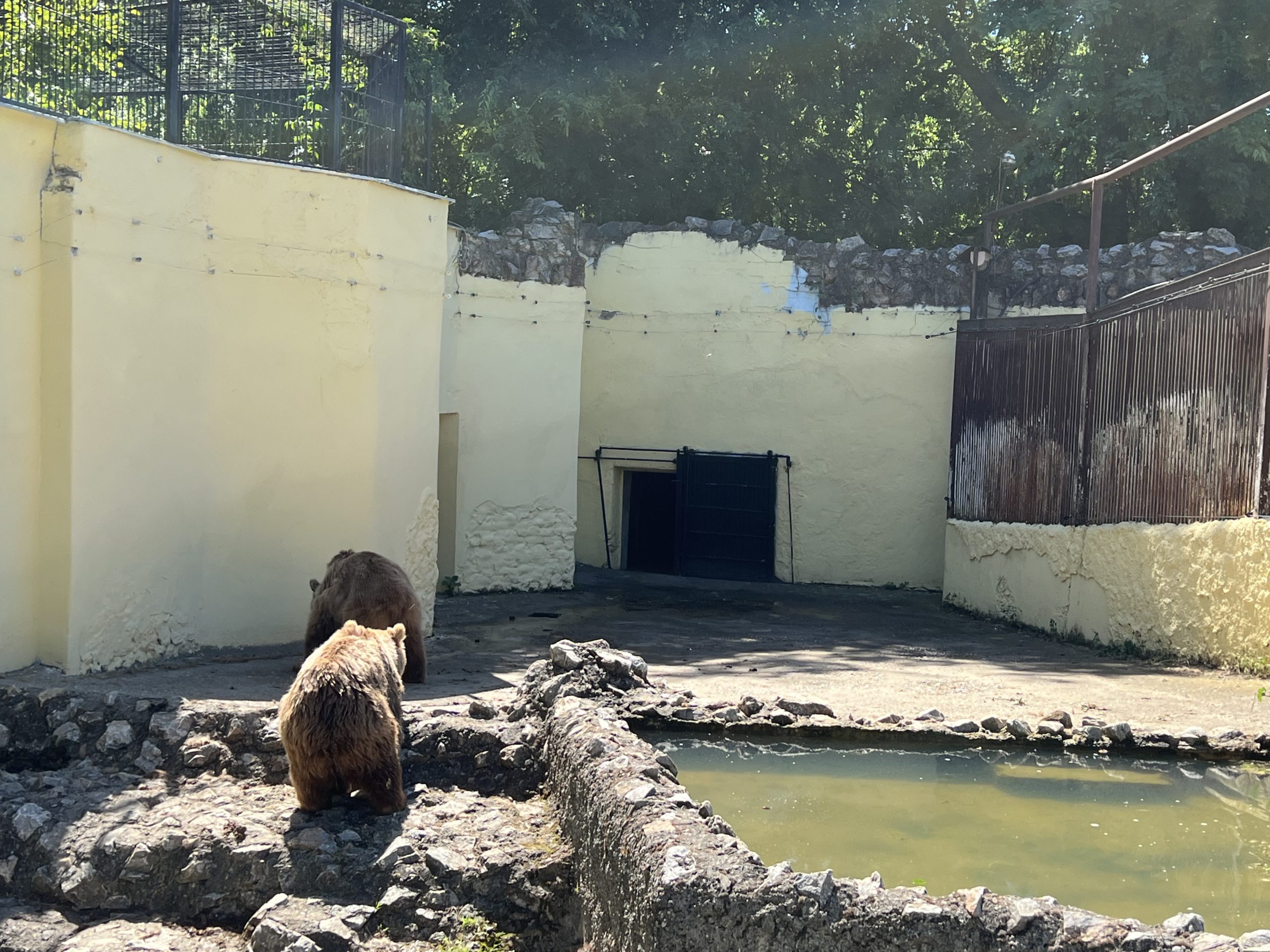 Mrke medvedice oporavljaju se u Zoovrt-u Palić