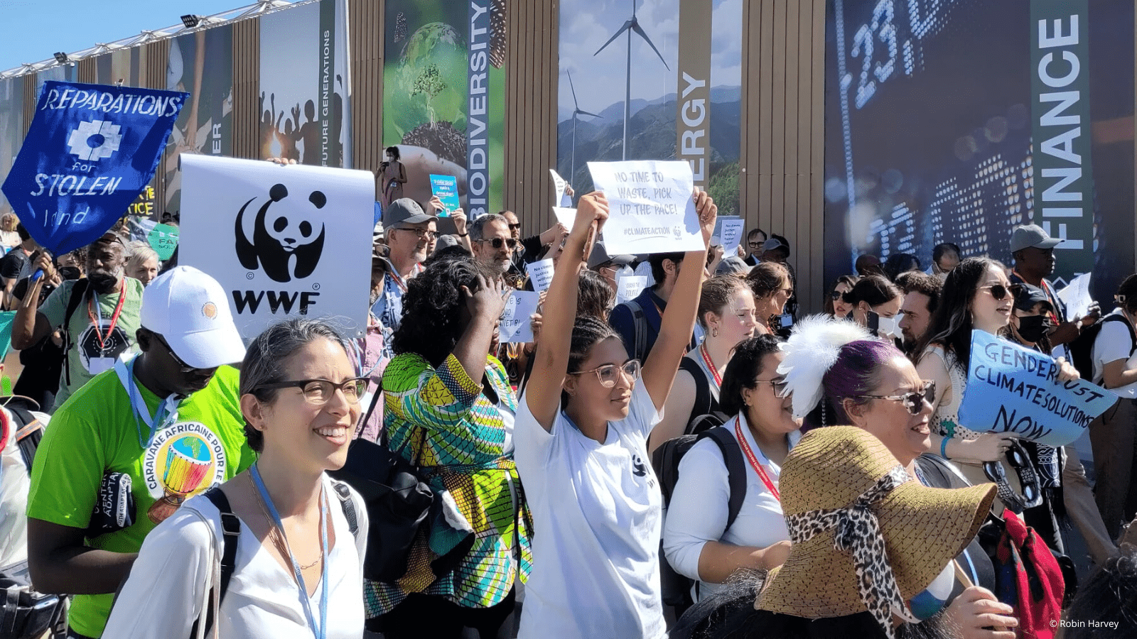 WWF: Razočarani ovogodišnjim COP27