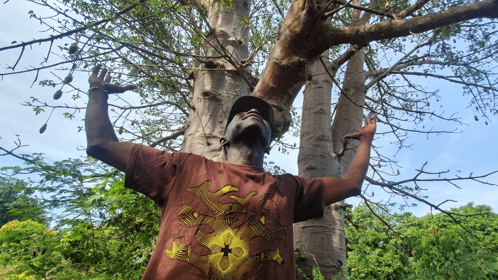 Muškarac iz Senegala zadao je sebi ambiciozan zadatak da u narednih pet godina posadi pet miliona stabala.