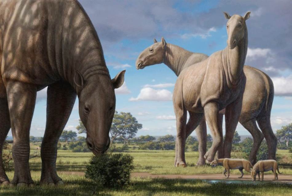 Džinovski nosorog i njegovi prvi fosilni ostaci.