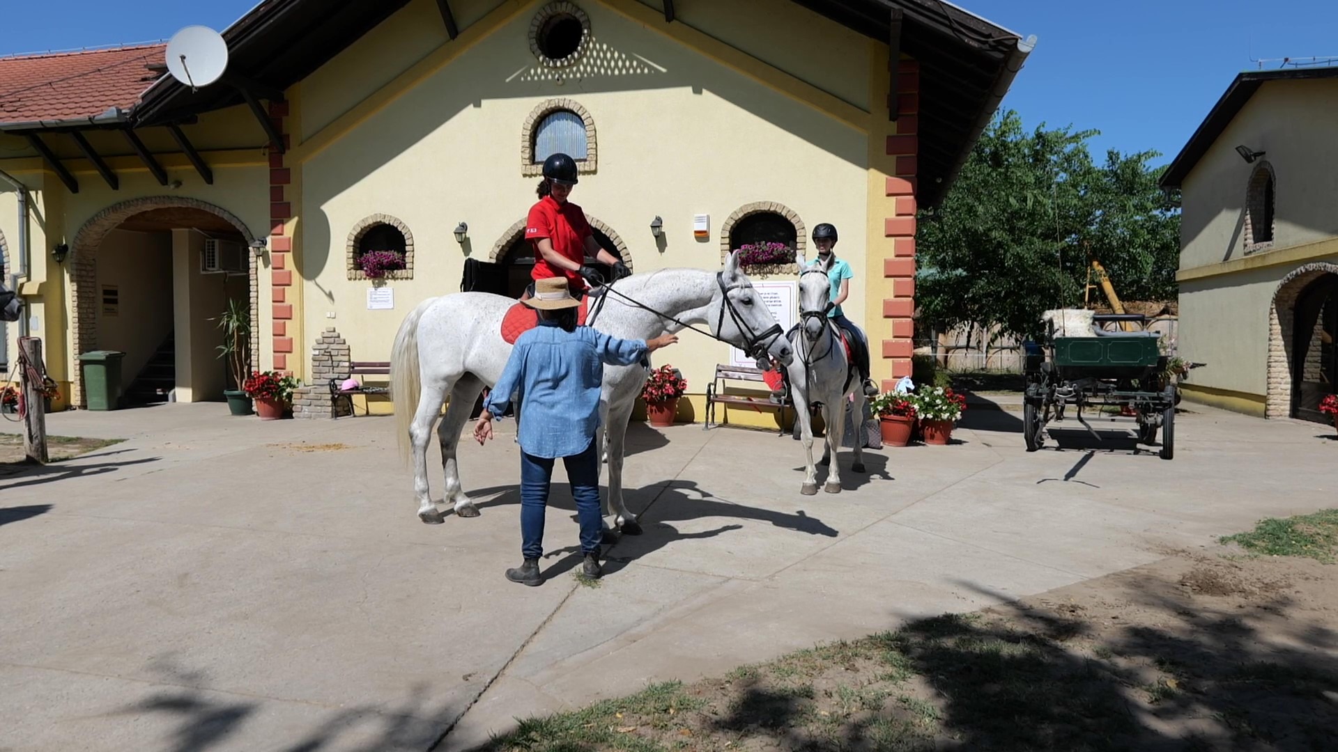 Konjički kampovi u Subotici deo letnje ponude za decu.