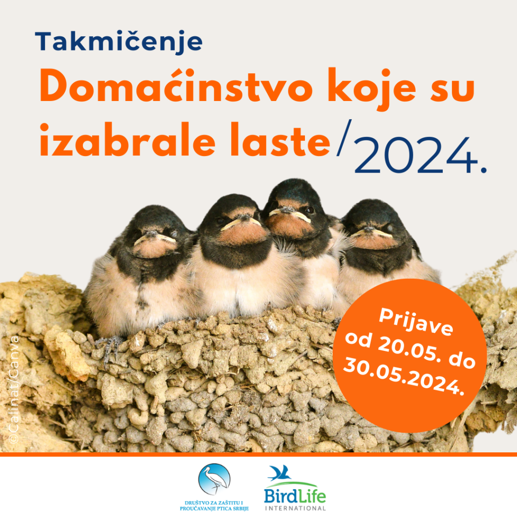 Glavna nagrada je tona kukuruza, a ostali učesnici mogu osvojiti sadnice voća