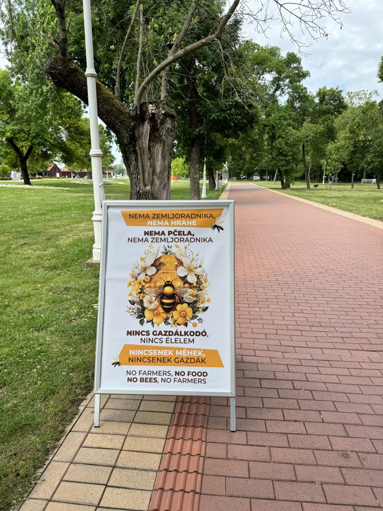 Bez marljivih pčelica radilica, usevi poput jabuka, soje, kakaa i badema ostaju neoprašivani.