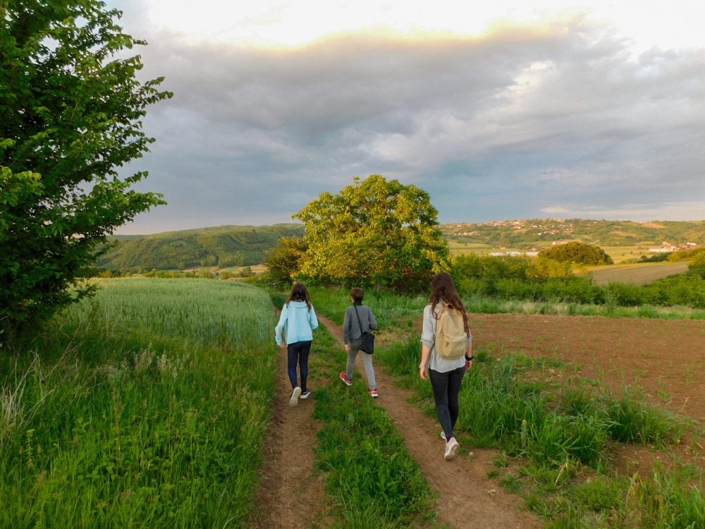 Noć slavuja nije samo obična noć u prirodi. 