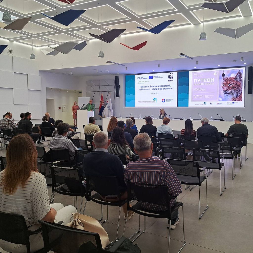 Koridori velikih zveri ključni su za očuvanje bioraznovrsnosti šumskih ekosistema.