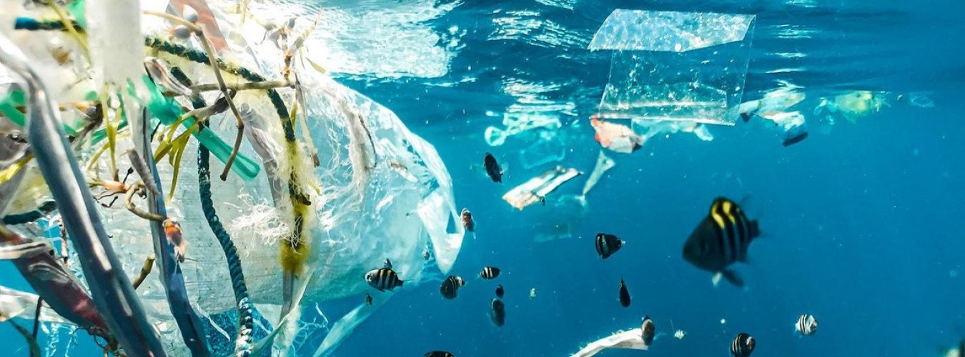 World Cleanup Day je globalna akcija koja okuplja milione volontera u borbi protiv otpada.