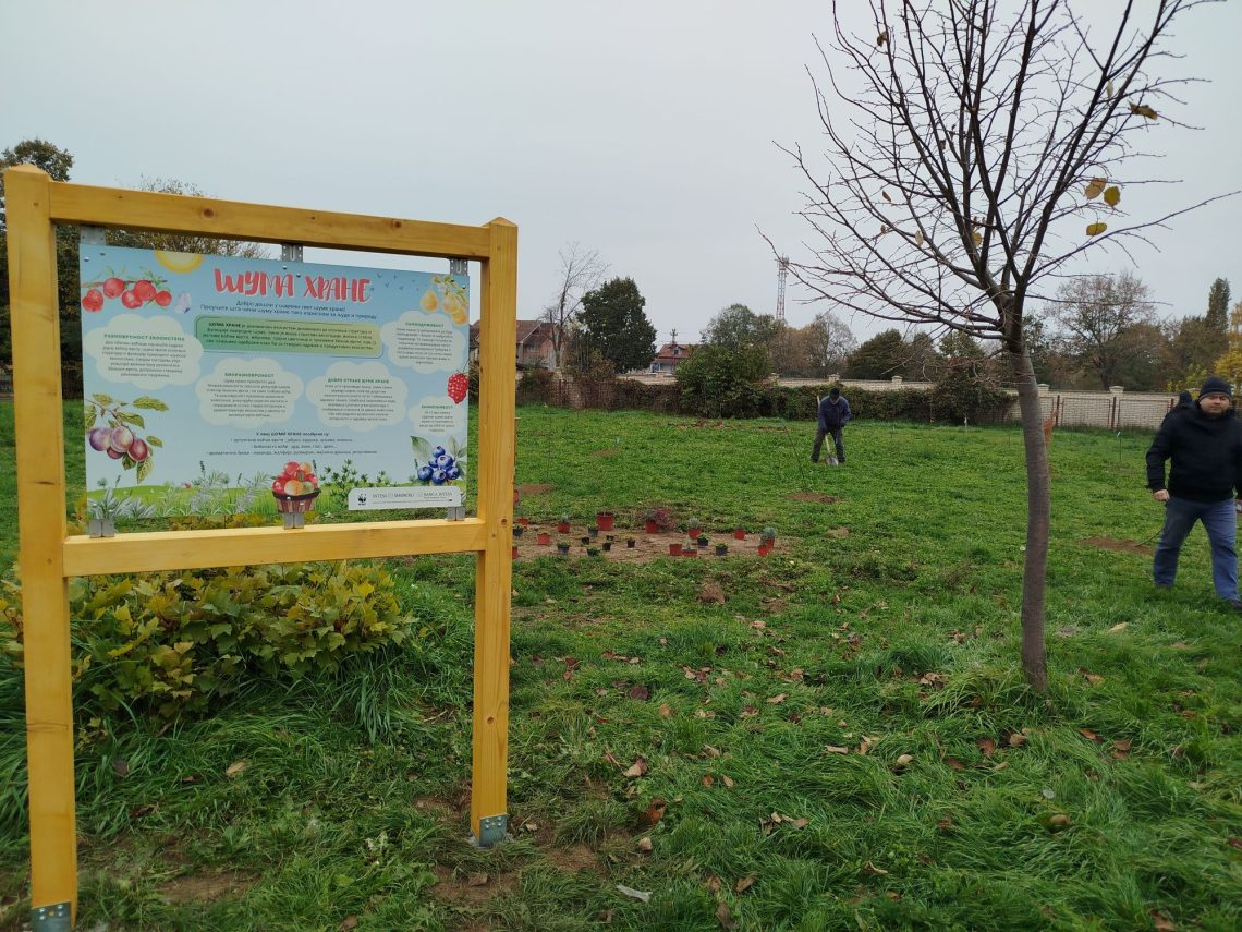 sadnja drveća projekat šuma hrane