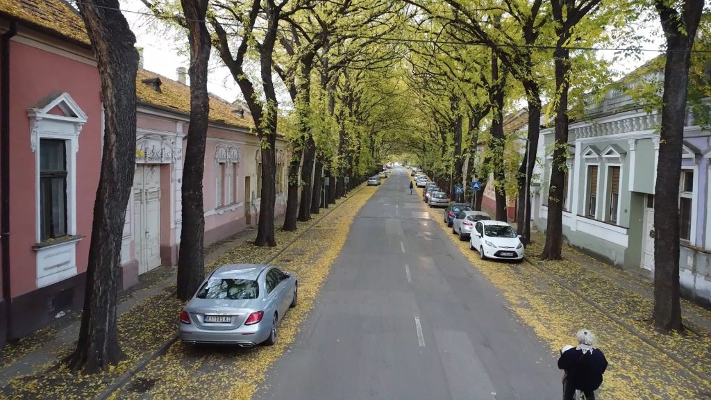 Zelena ulica Kikinda nije samo ukras grada, već simbol ekološke svesti i odgovornosti prema životnoj sredini.