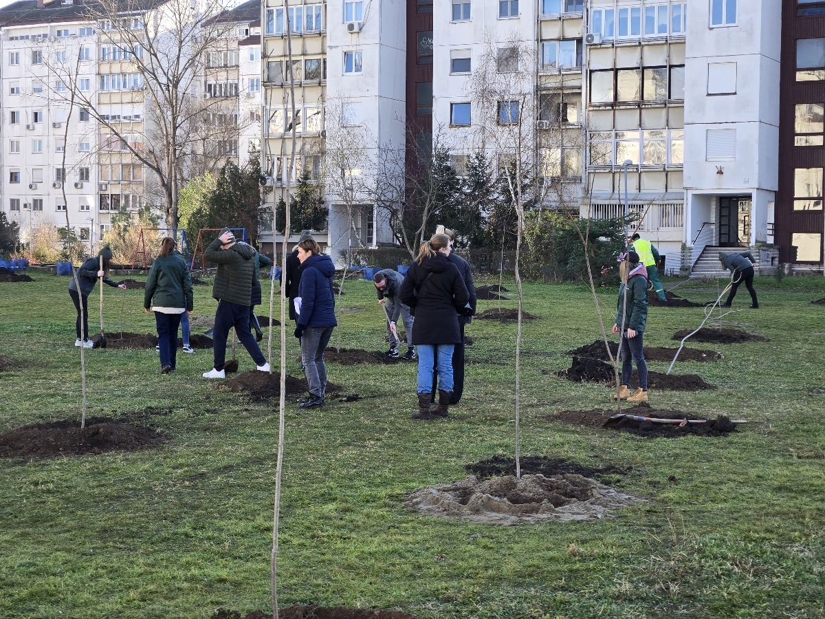 Holandsko-srpska privredna asocijacija