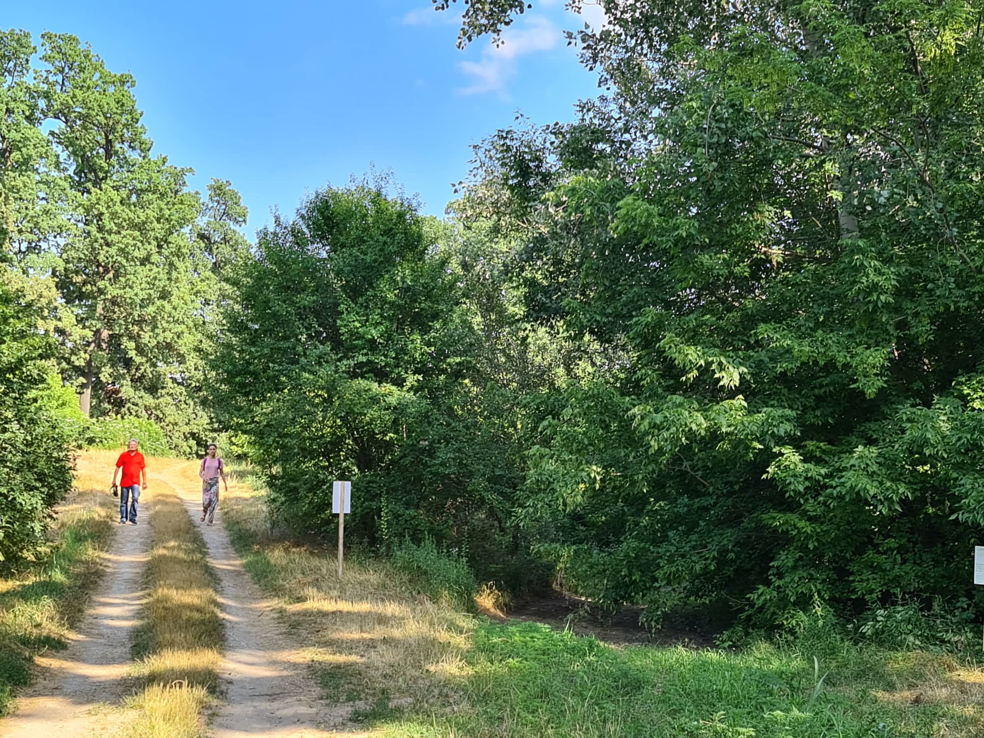 Njasavremeniji monitoring šuma. Gradska šuma u Pančevu, na drugoj obali Tamiša, prava je divljina u centru grada i prirodna oaza koja je uglavnom bila poznata samo retkim zaljubljenicima u prirodu.