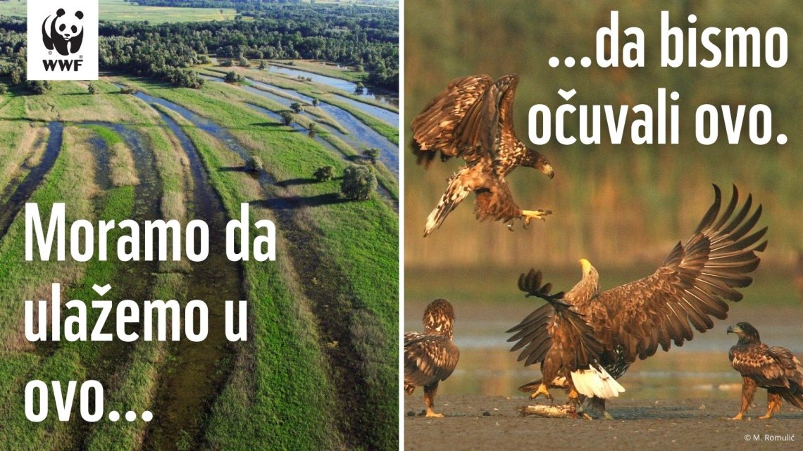 Močvare kao prirodno rešenje za klimatske promene