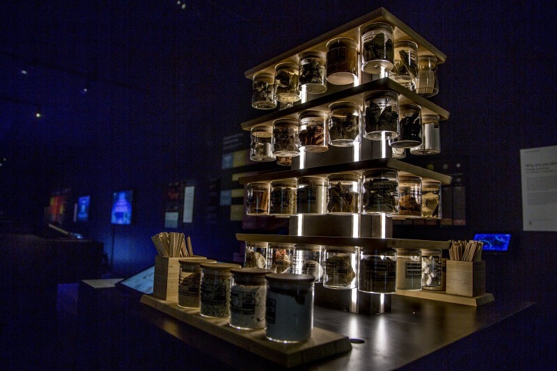 kao deo izložbe "Muzej jestive zemlje" i "Kompost kao superfood" umetnika masharua.