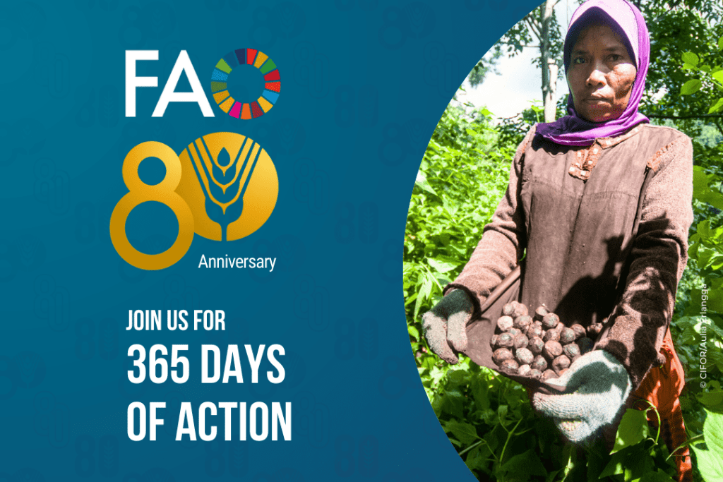 Svetski dan šuma fao