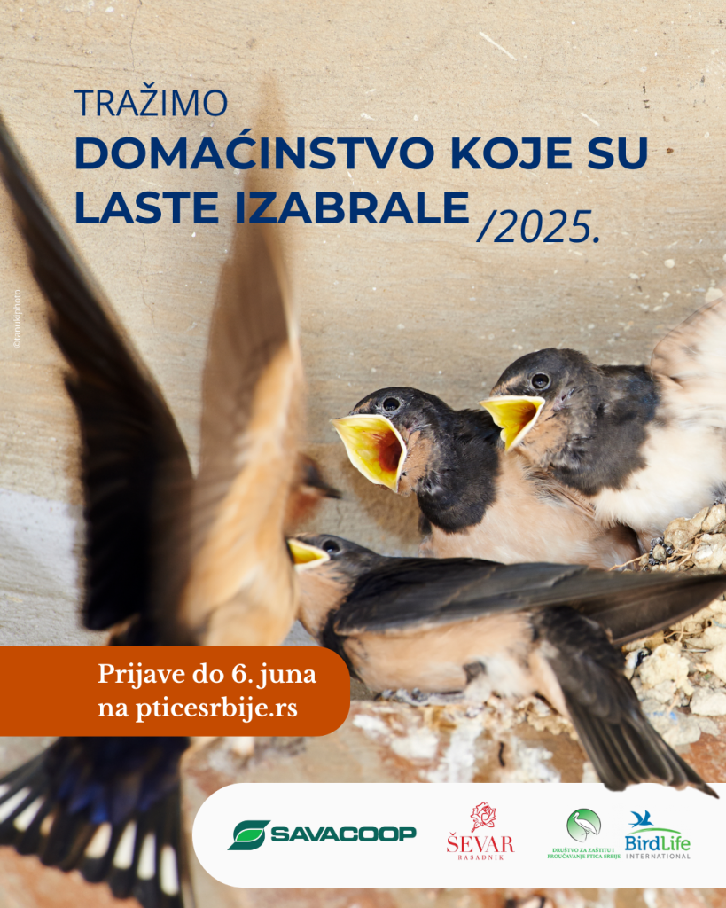 Seoske laste pojedu na stotine insekata dnevno – bez hemije, bez buke.