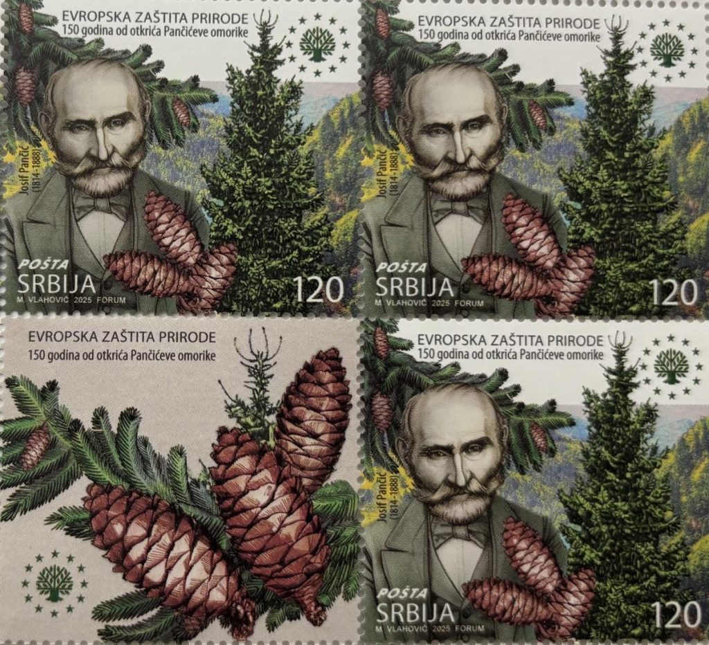 150 godina Pančićeve omorike.Foto: Zavod za zaštitu prirode Srbije