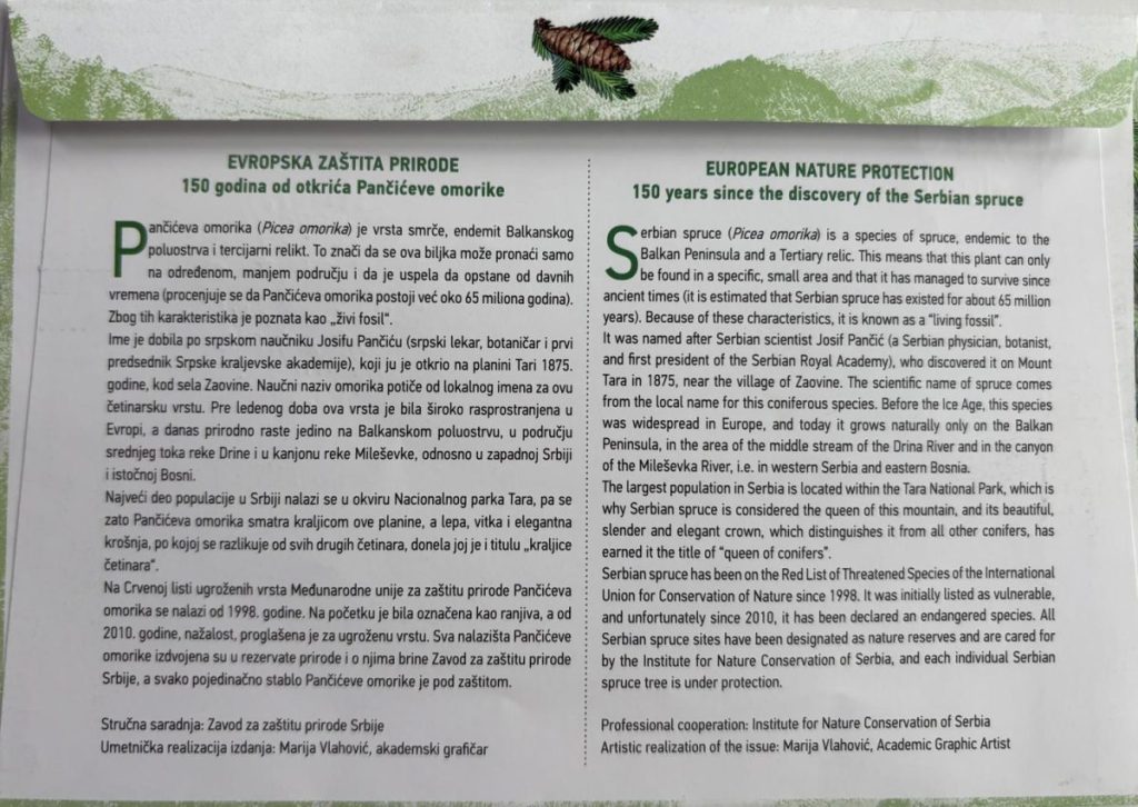 150 godina Pančićeve omorike.Foto: Zavod za zaštitu prirode Srbije