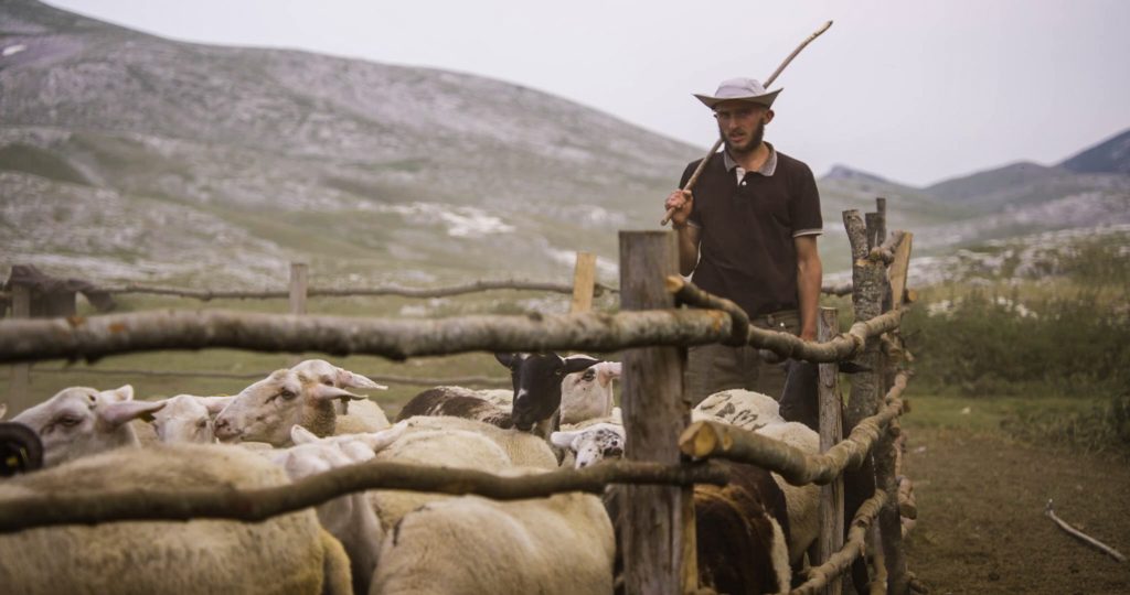 Planina se neće pomeriti, kadar iz filma