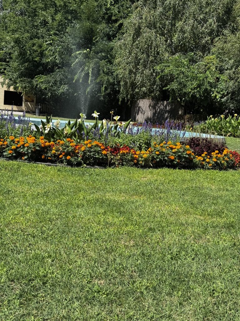Zoološki vrt Palić.