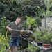 Bonsai drveće.Fotografija: Sandra Iršević