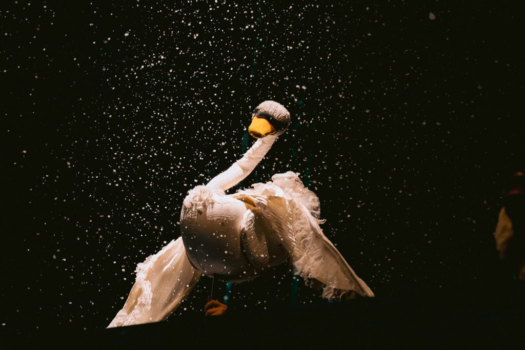 Ekologija i umetnost na Limenka Festivalu. Foto: V.Veličković