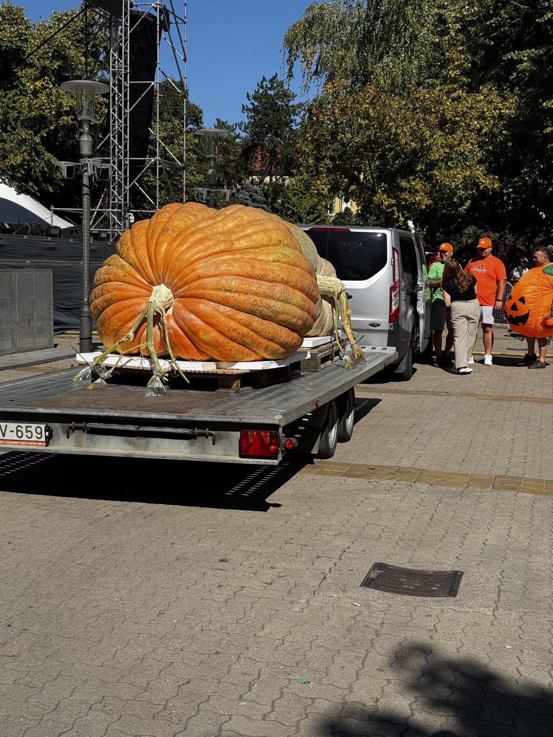 Dani Ludaje:Najteža undeva 832 kilograma Tibora Kokaija. Foto: Sandra Iršević