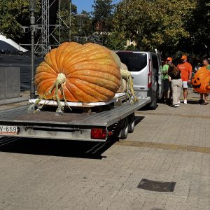 Dani Ludaje:Najteža undeva 832 kilograma Tibora Kokaija. Foto: Sandra Iršević