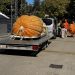 Dani Ludaje:Najteža undeva 832 kilograma Tibora Kokaija. Foto: Sandra Iršević