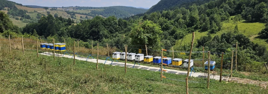 Zaštitne električne ograde sve više postaju neizostavan alat za pčelare koji se suočavaju sa napadima medveda.