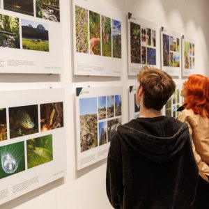 Posetioci razgledaju EU4Green izložbu Najinspirativnije zelene priče Balkana u Evropskoj kući.