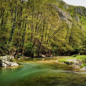 reka-gradac-pecina-vrbak-stara-drveca-kultura-sećanja-čista-reka