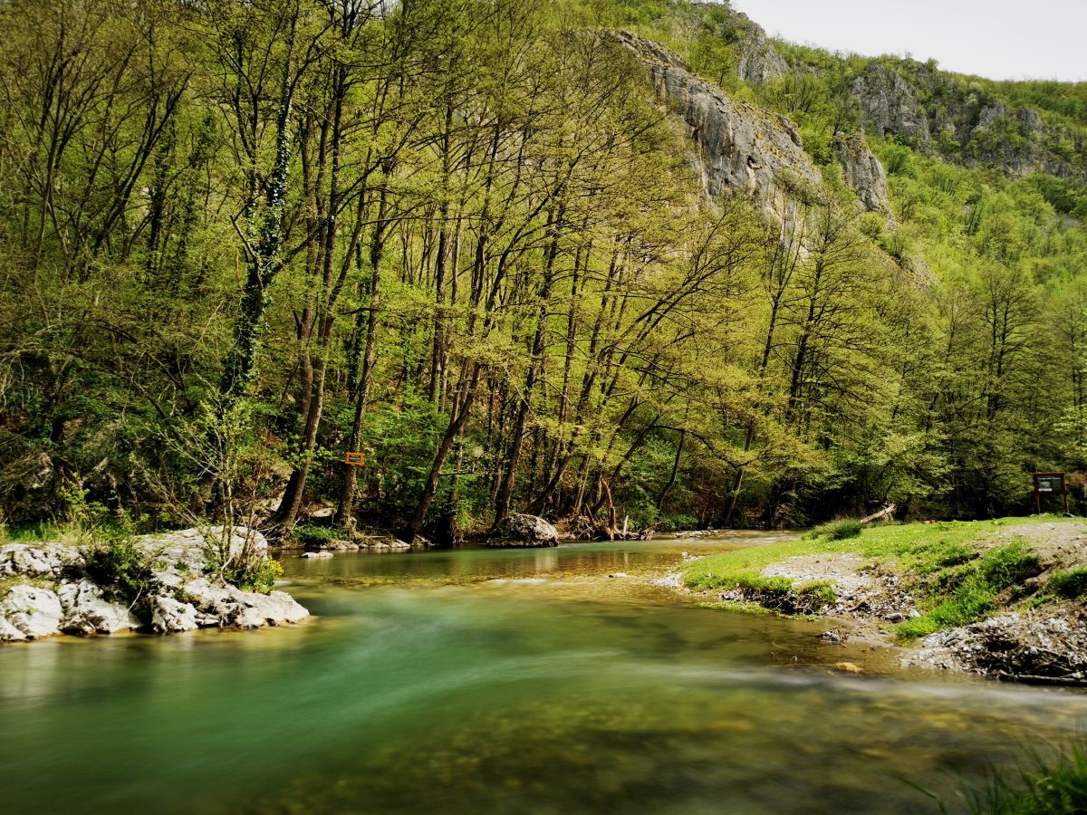 reka-gradac-pecina-vrbak-stara-drveca-kultura-sećanja-čista-reka