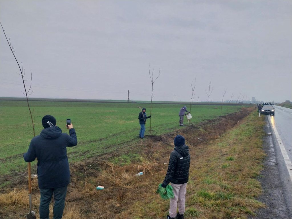 Volonteri, uključujući odraslu osobu i dete, hodaju pored tek posađenog drvoreda mladih sadnica po oblačnom danu.