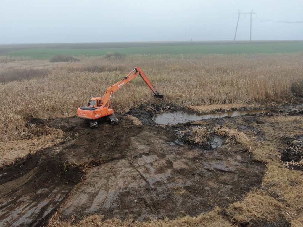 Bager sa dugom strelom uklanja trsku i nanose u Kraljevcu.