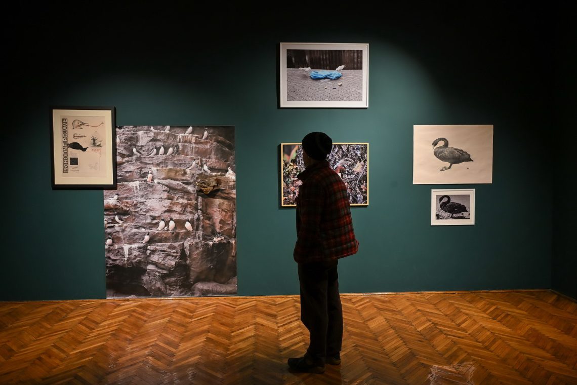 Osoba u kariranoj košulji s leđa posmatra zidnu postavku umetničkih dela o prirodi i zagađenju u galeriji sa zelenim zidovima i parketom.