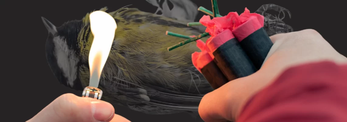 Pirotehnika loše utiče na ptice i životinje.