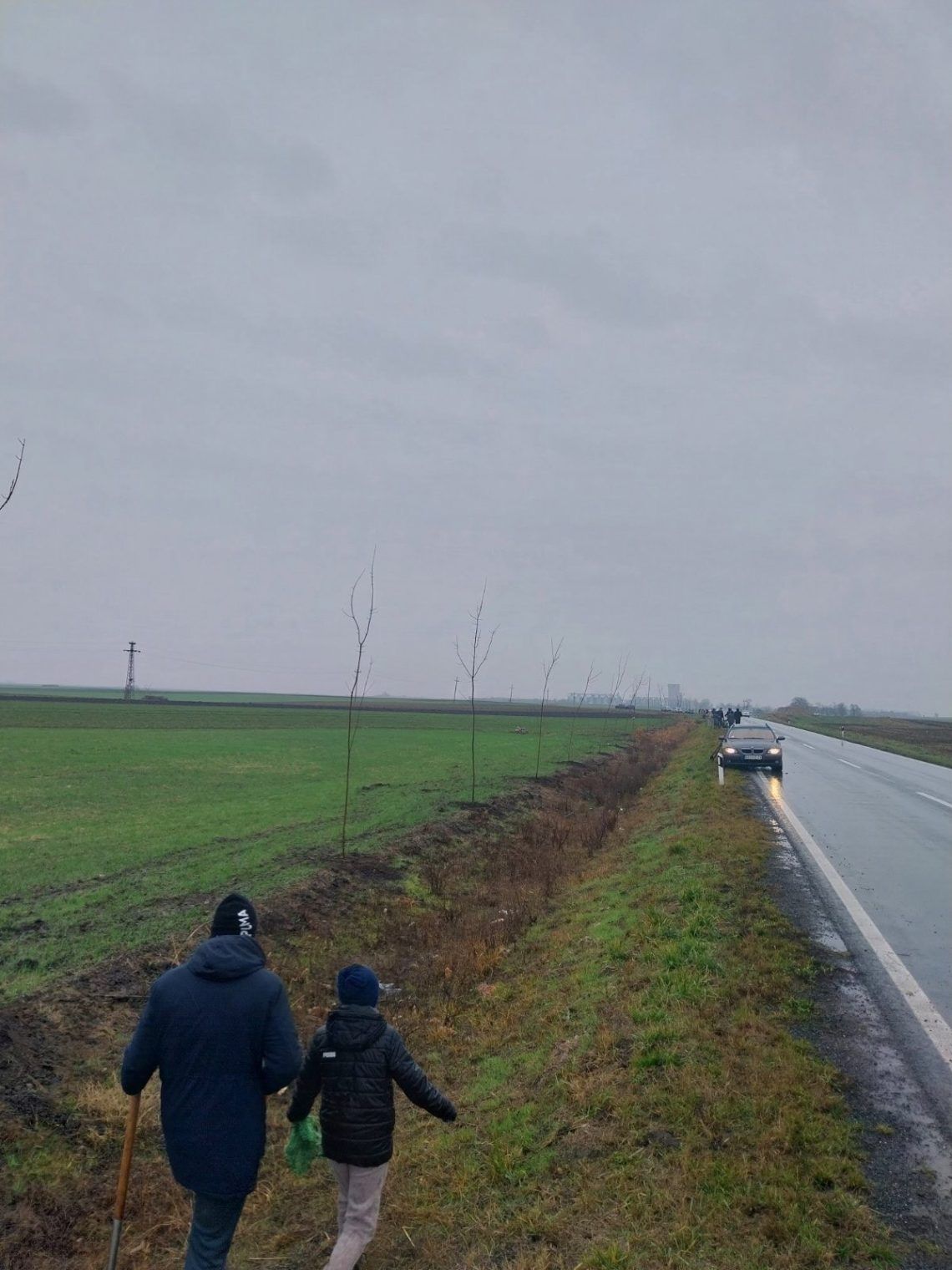 Volonteri sade drveće pored puta kod Subotice po kišnom vremenu, dok jedan učesnik fotografiše akciju.