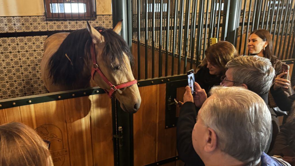 Turisti fotografišu rasnog konja braon dlake, koji viri iz boksa u ukrašenoj štali.