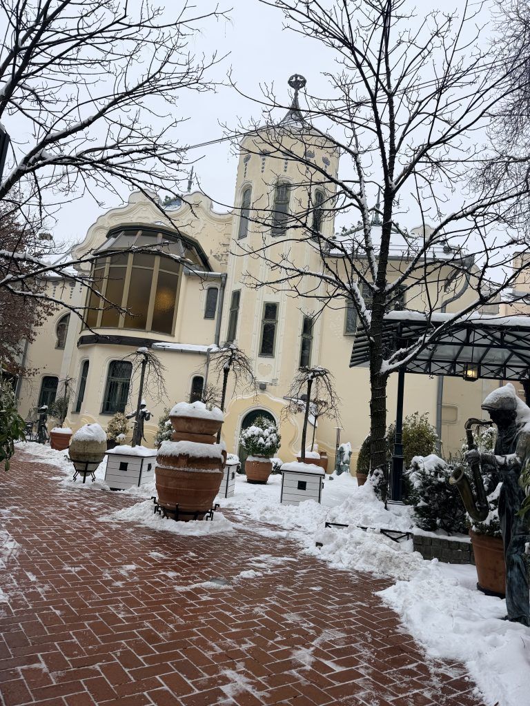 Subotica sneg Matije Korvina, statua saksofoniste Subotica, zima u Subotici centar.