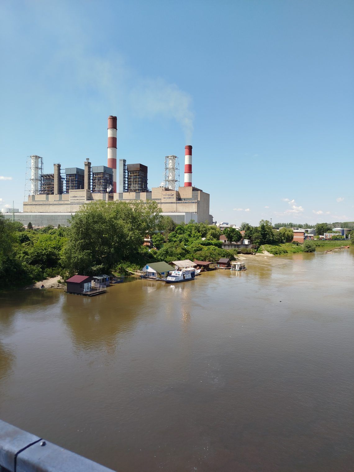 Dan Vlažnih staništa: Sava, Obrenovac