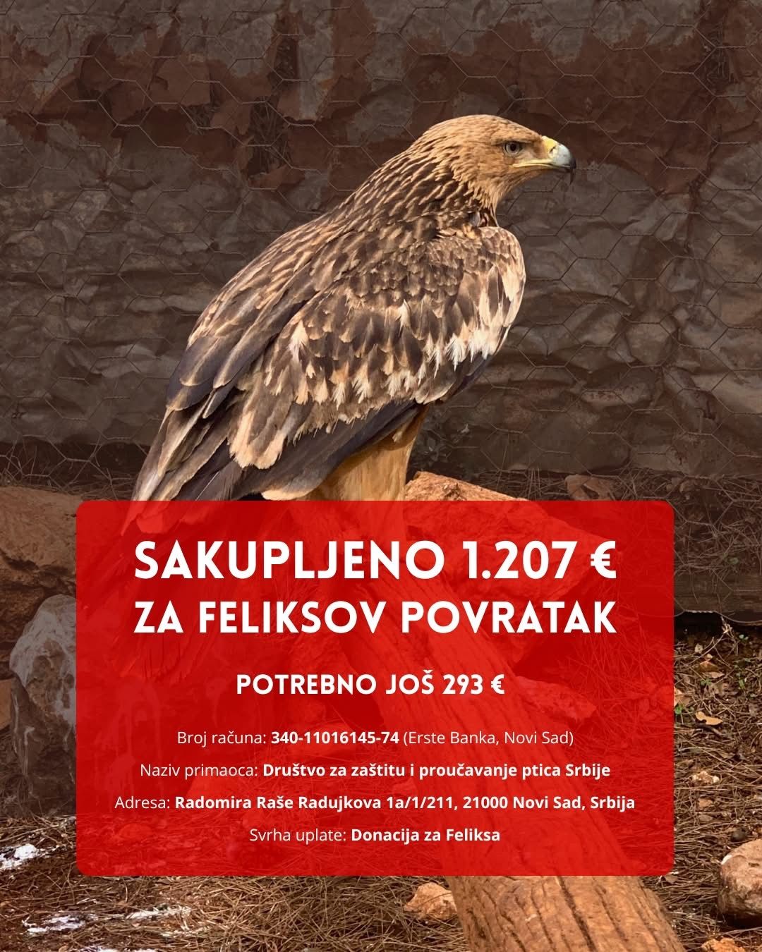 Kampanja pomozimo Feliksu da se vrati kući