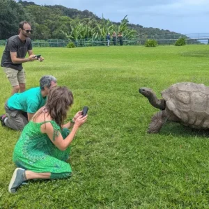 193-godišnje kornjače Džonatan smrt pogodila milione. Foto: Zelena Srbija