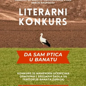 Da sam ptica u Banatu