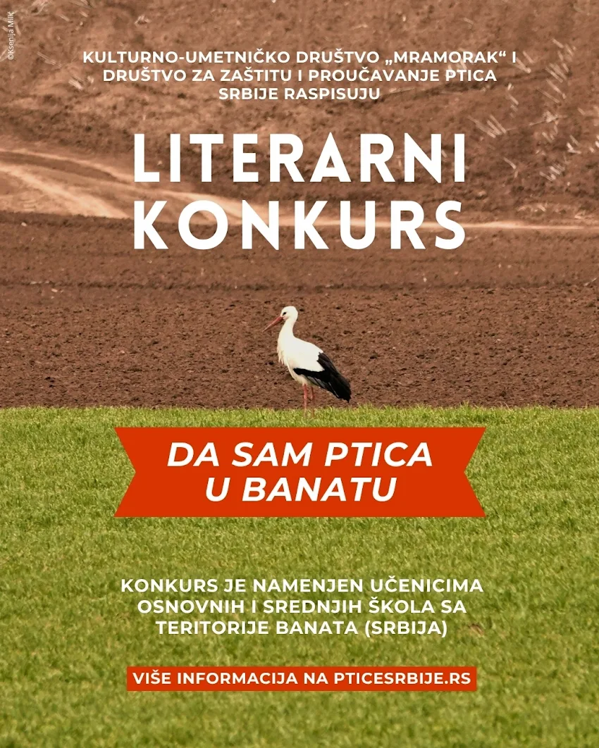 Da sam ptica u Banatu