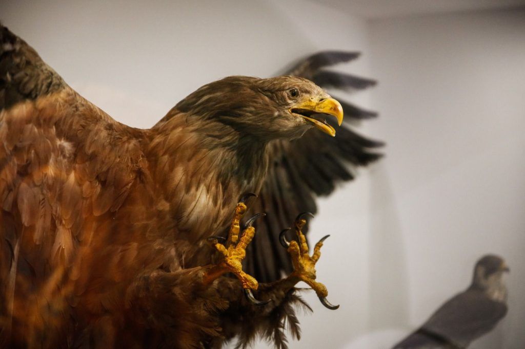 Pokrajinski zavod Vojvodine proslavio jubilej. Foto: Ministarstvo zaštite životne sredine