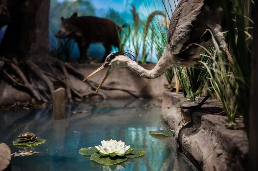 Foto: Ministarstvo zaštite životne sredine