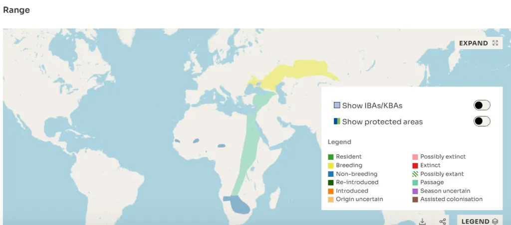 Mapa gde se sve nalazi crnokrili zijavac