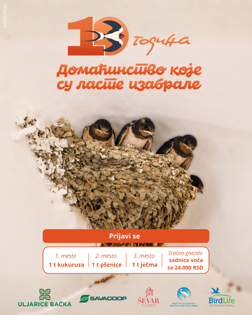 plakat akcije Domaćinstvo koje su izabrale laste